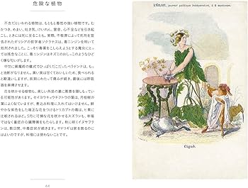 【魔術品】幸運の青い蝶 ユリシス標本 スペイン現役魔女作製 金運愛情運アップ VALIS】「青春イマジネーション」NINA ver.／4th ALBUM「青春